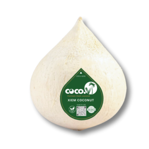 Cone-chop shaped Xiem Coconut